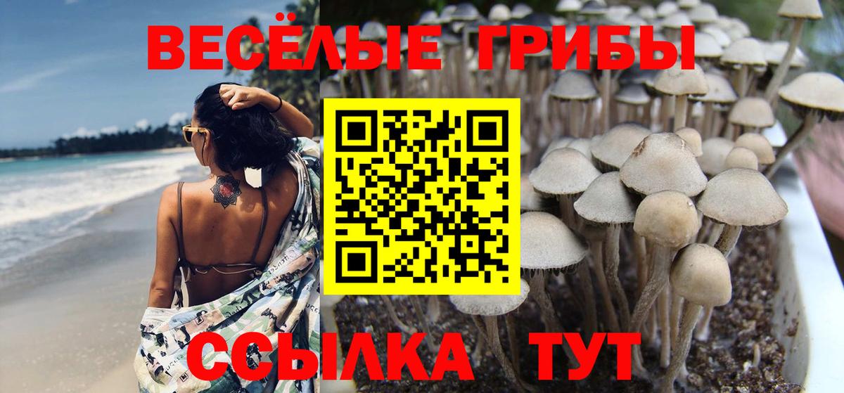 Псилоцибиновые грибы Psilocybe  Псилоцибиновые грибы Magic Shrooms  Вход с VPN  где купить наркотик  Барабинск 